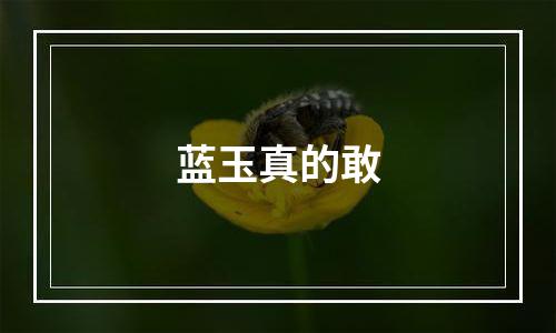 蓝玉真的敢