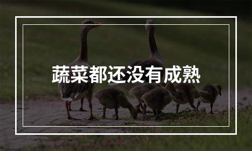 蔬菜都还没有成熟