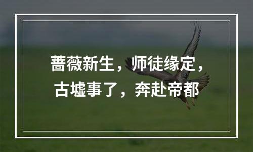 蔷薇新生，师徒缘定， 古墟事了，奔赴帝都
