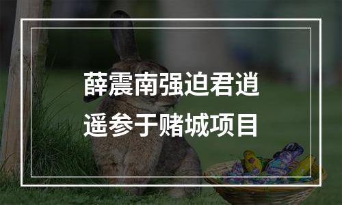 薛震南强迫君逍遥参于赌城项目