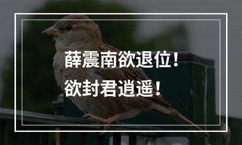 薛震南欲退位！欲封君逍遥！