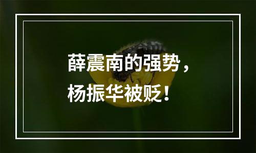 薛震南的强势，杨振华被贬！