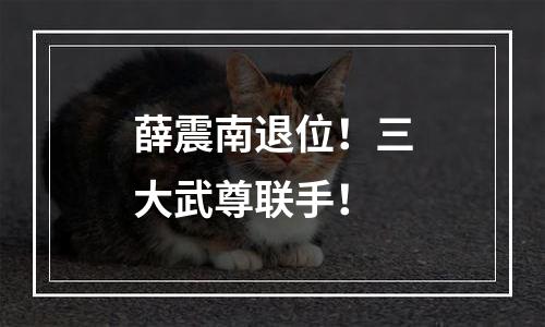 薛震南退位！三大武尊联手！