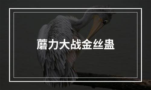 蘑力大战金丝蛊
