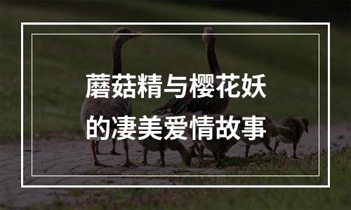蘑菇精与樱花妖的凄美爱情故事
