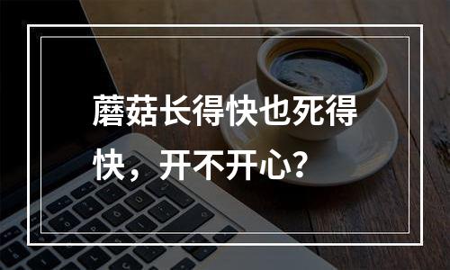 蘑菇长得快也死得快，开不开心？
