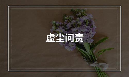 虚尘问责