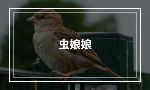 虫娘娘