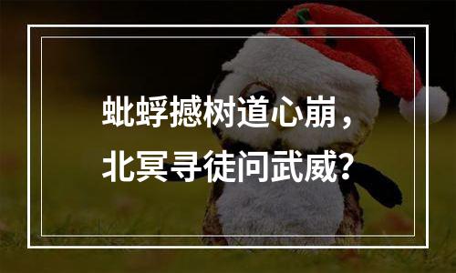 蚍蜉撼树道心崩，北冥寻徒问武威？