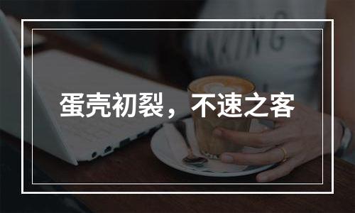 蛋壳初裂，不速之客