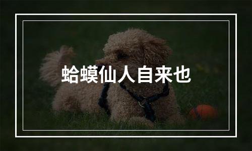 蛤蟆仙人自来也