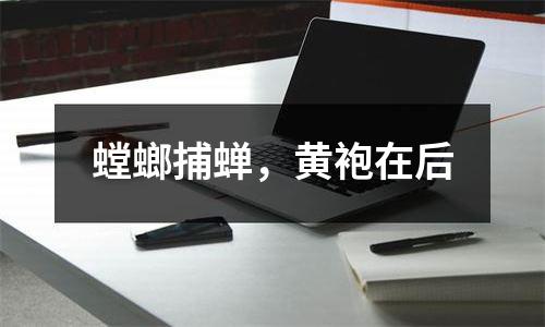 螳螂捕蝉，黄袍在后