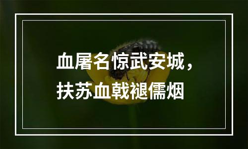 血屠名惊武安城，扶苏血戟褪儒烟