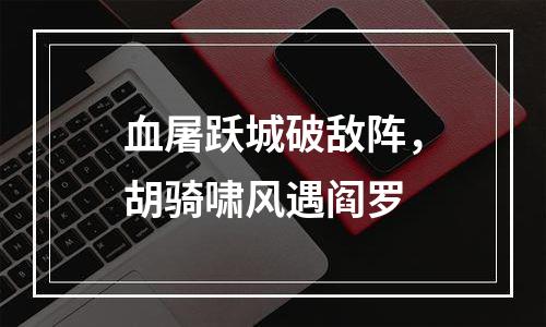血屠跃城破敌阵，胡骑啸风遇阎罗