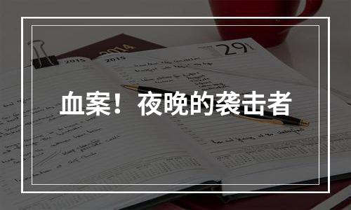 血案！夜晚的袭击者