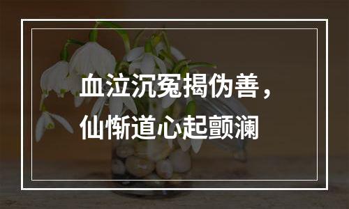 血泣沉冤揭伪善，仙惭道心起颤澜