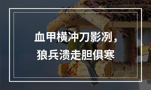 血甲横冲刀影冽， 狼兵溃走胆俱寒