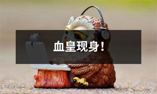 血皇现身！