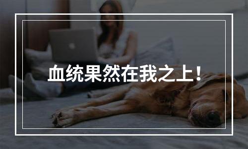 血统果然在我之上！