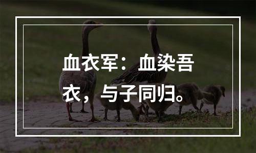 血衣军：血染吾衣，与子同归。