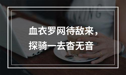 血衣罗网待敌来，探骑一去杳无音
