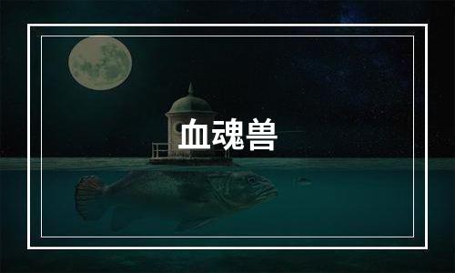 血魂兽