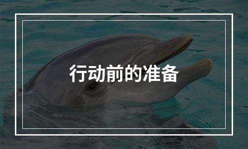 行动前的准备