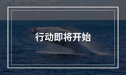 行动即将开始