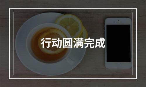 行动圆满完成