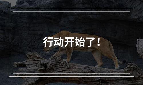 行动开始了！