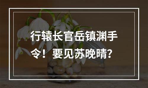 行辕长官岳镇渊手令！要见苏晚晴？