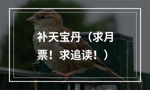 补天宝丹（求月票！求追读！）