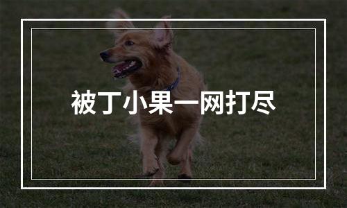 被丁小果一网打尽