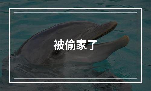 被偷家了