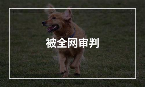 被全网审判