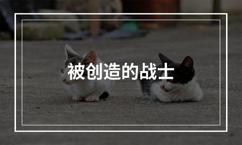 被创造的战士
