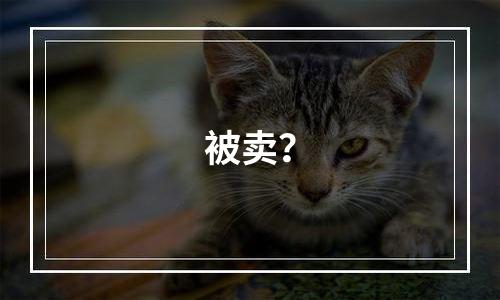 被卖？