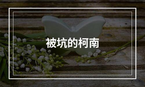 被坑的柯南