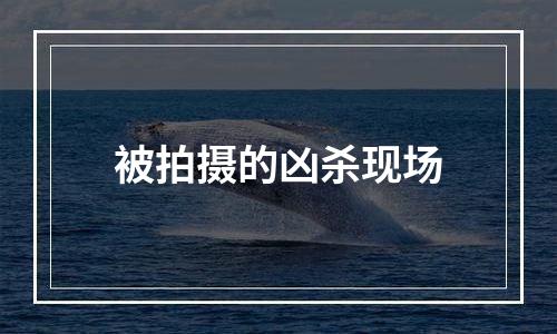 被拍摄的凶杀现场