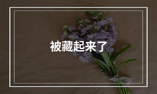被藏起来了