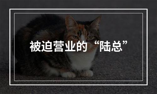 被迫营业的“陆总”