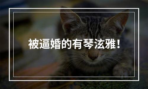被逼婚的有琴泫雅！