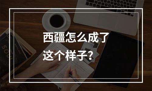 西疆怎么成了这个样子？