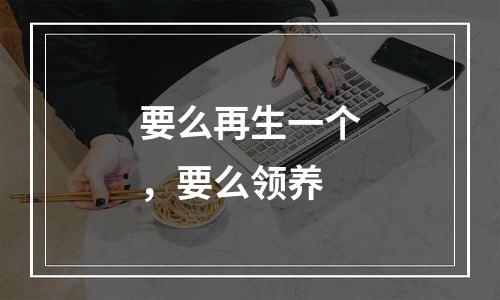 要么再生一个，要么领养