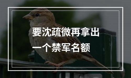 要沈疏微再拿出一个禁军名额