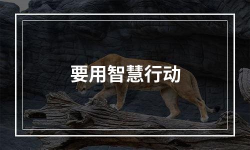 要用智慧行动