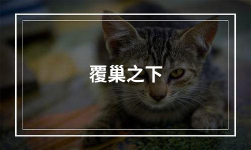 覆巢之下