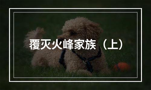 覆灭火峰家族（上）