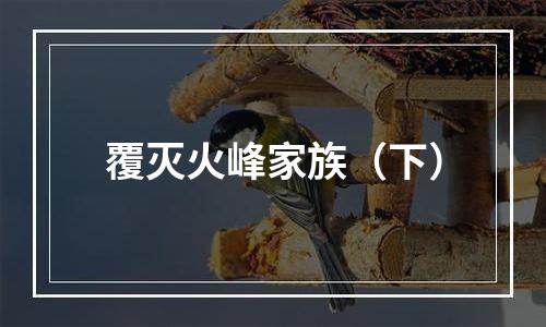 覆灭火峰家族（下）