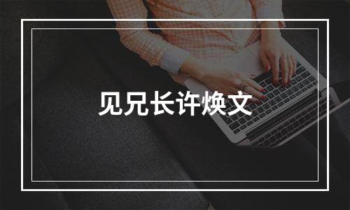 见兄长许焕文